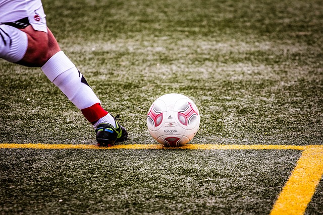 和拋物被拘 和拋物被拘