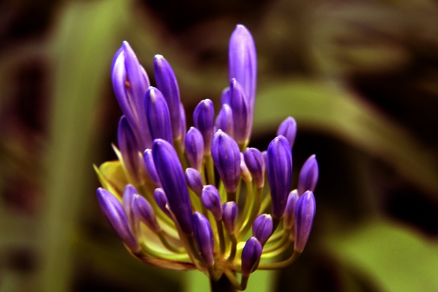 领域的全球 领域的全球