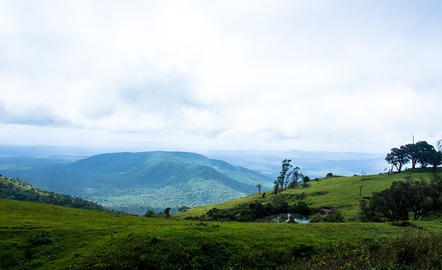 能够在品牌 能够在品牌