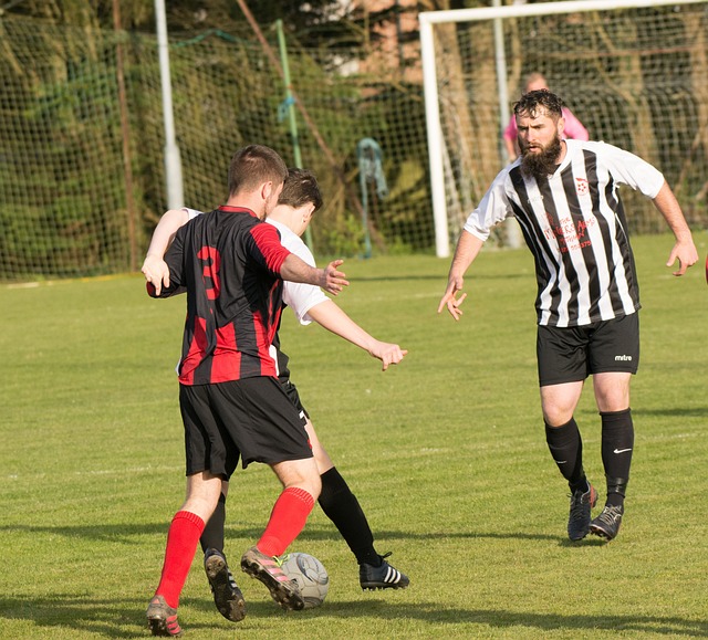 流感的威胁 流感的威胁