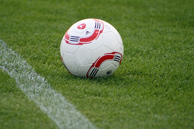 如果他选择 如果他选择