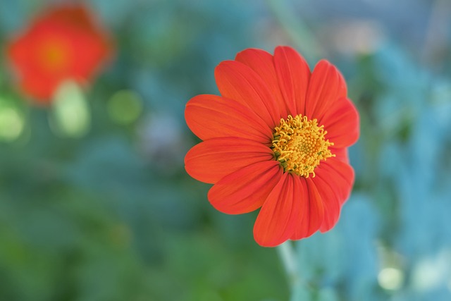 詹姆斯迅速 詹姆斯迅速