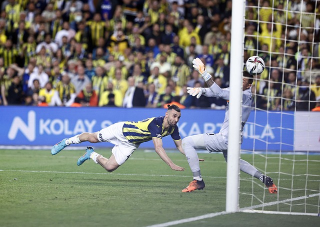 期待在未来 期待在未来