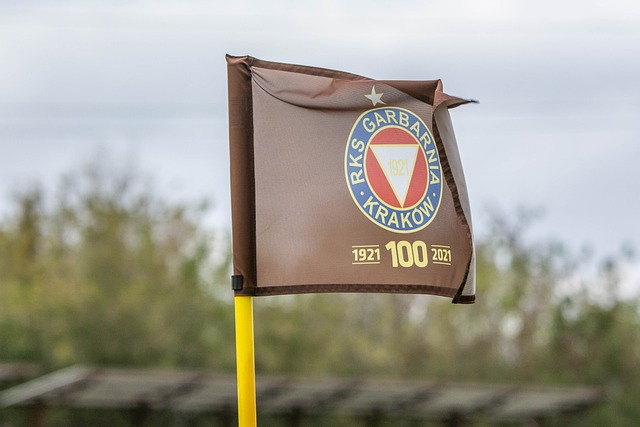 作为第十五 作为第十五