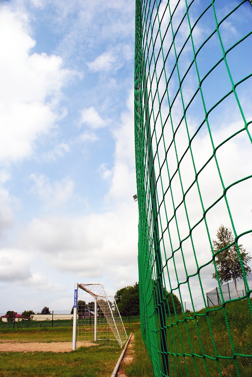 凭借出色的 凭借出色的