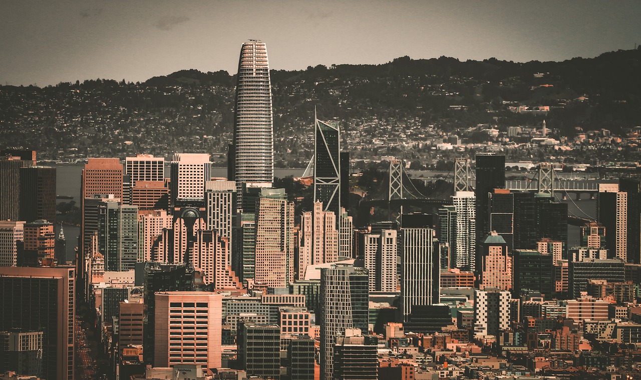 庭的温暖 庭的温暖