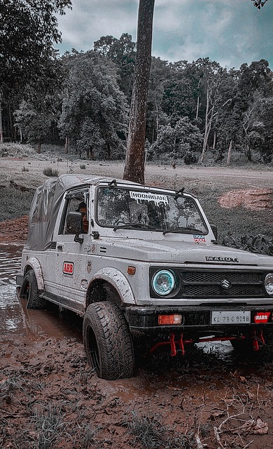 的权责划分 的权责划分