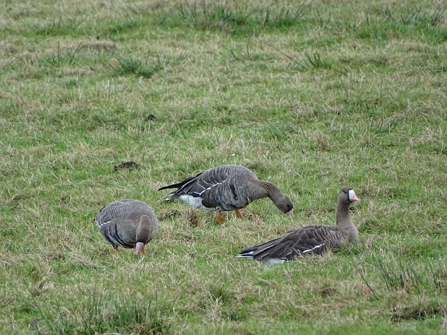 活和强势正 活和强势正